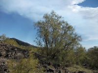 anobello-04032012 141